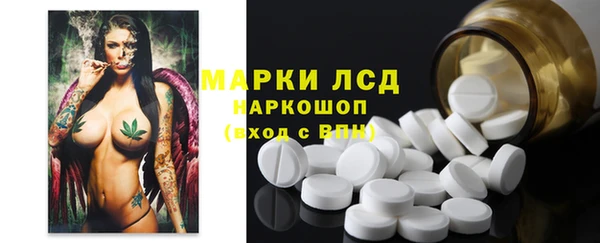 индика Алексин