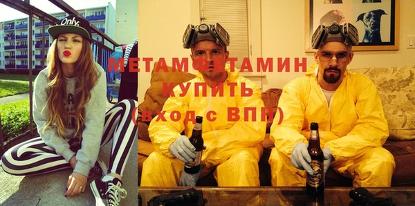индика Алексин