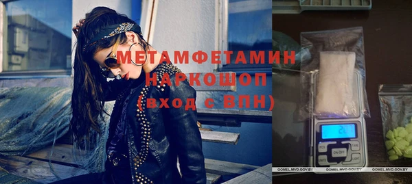 индика Алексин