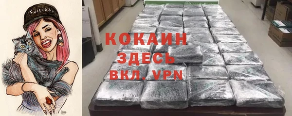 индика Алексин