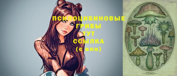 ECSTASY Алексеевка